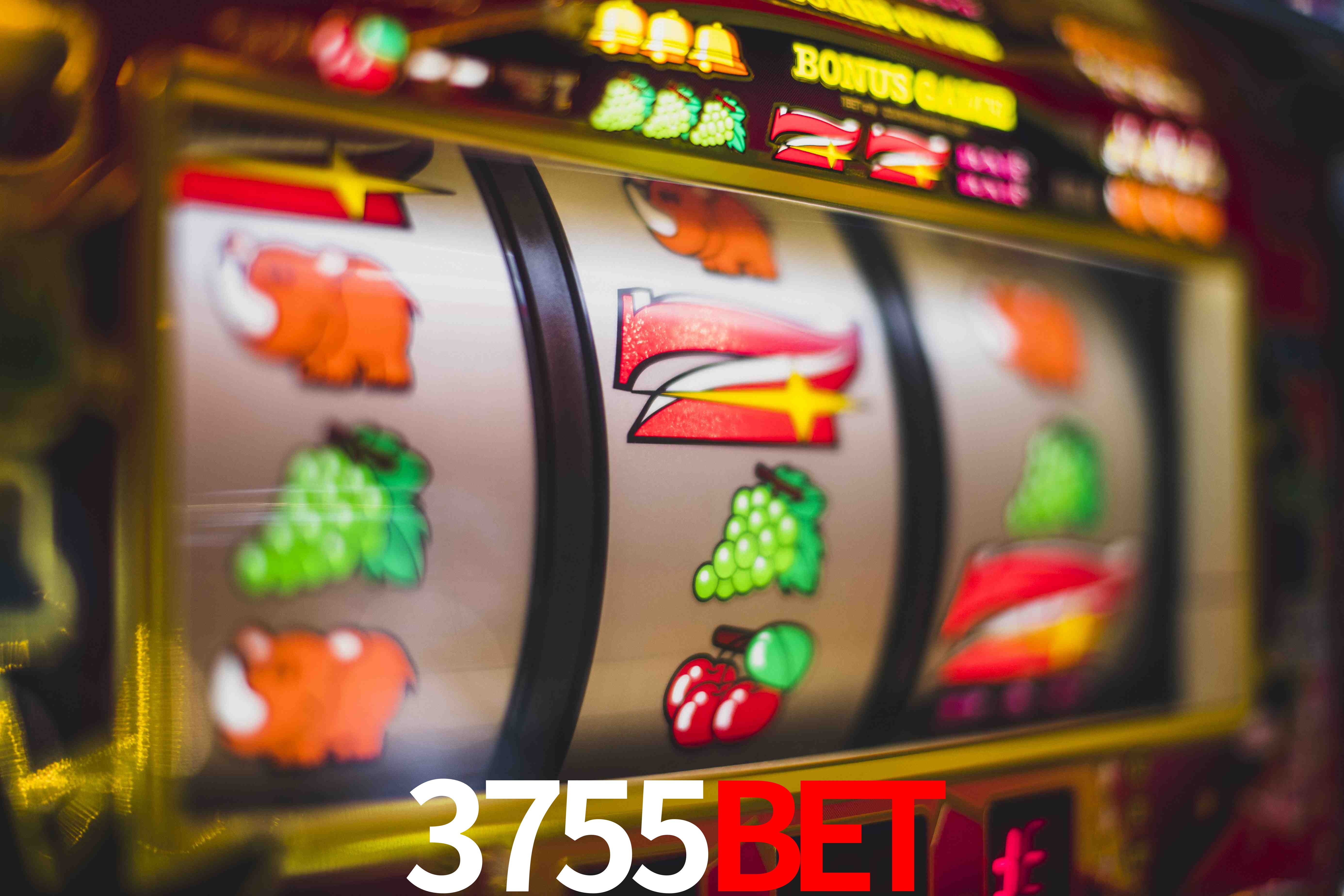 Statistics 3755bet