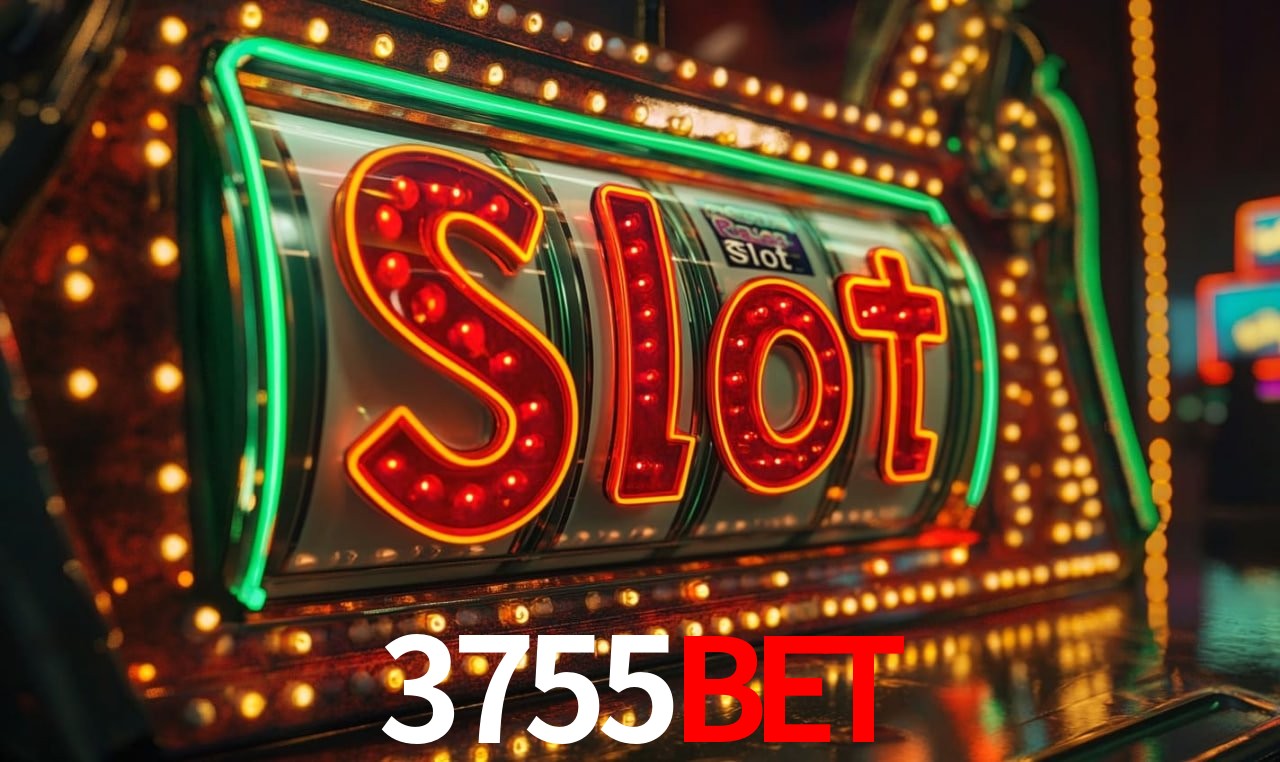 3755bet - User Statistics