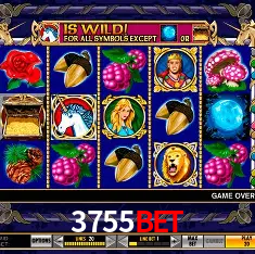 3755bet Rio de Janeiro - Professional Dealers